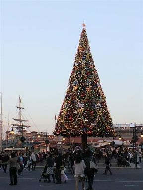 b0102728_14244340.jpg