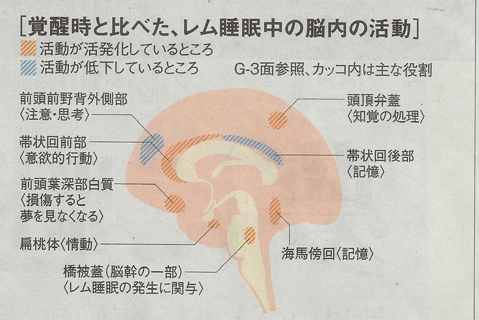 夢を観る領域とは・・・２_e0267429_0425766.jpg