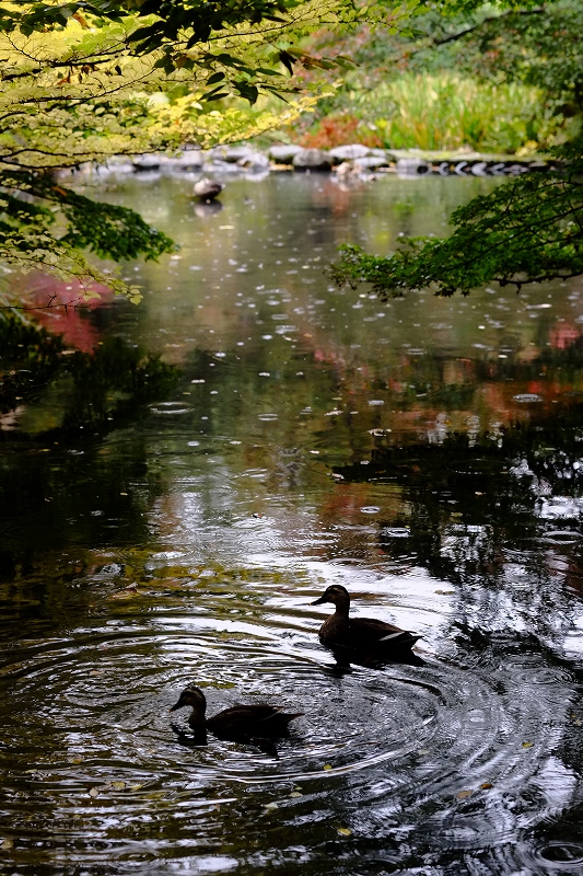 根津美術館_f0050534_8162640.jpg