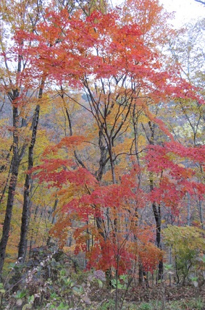 e0291638_98062.jpg