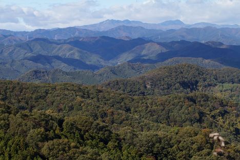 c0015639_2040195.jpg