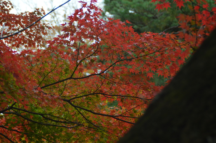 c0202242_9492668.jpg