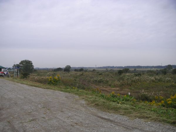 e0086244_17223234.jpg