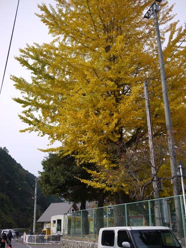 f0191444_1230353.jpg