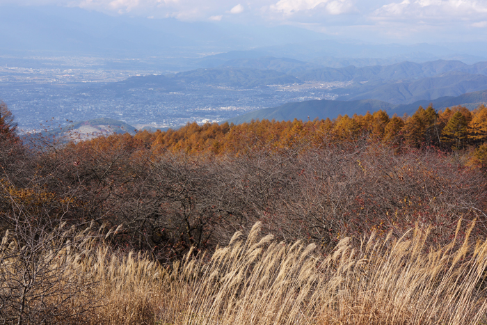 c0035245_21131339.jpg