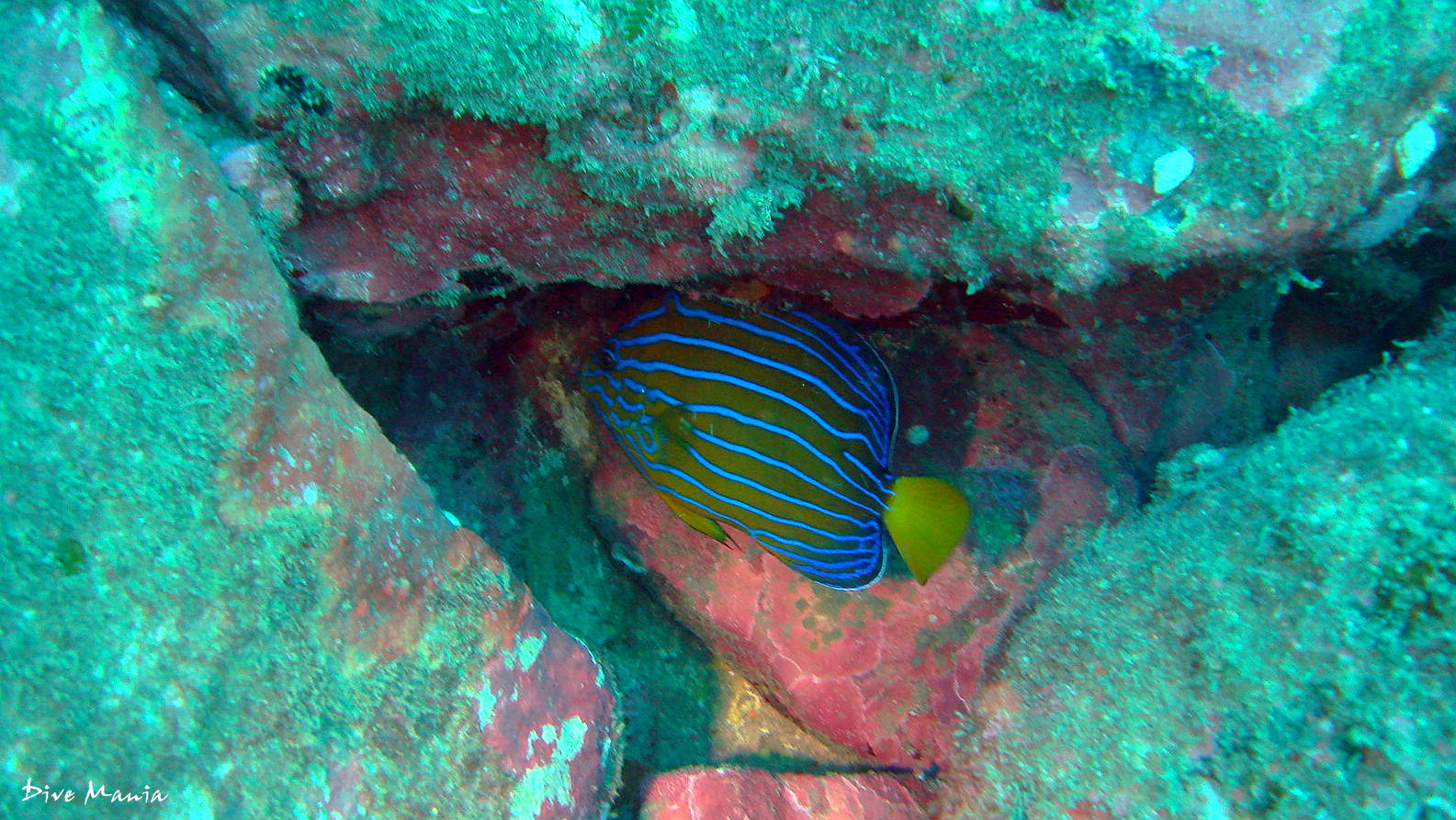 b0236647_121445100.jpg
