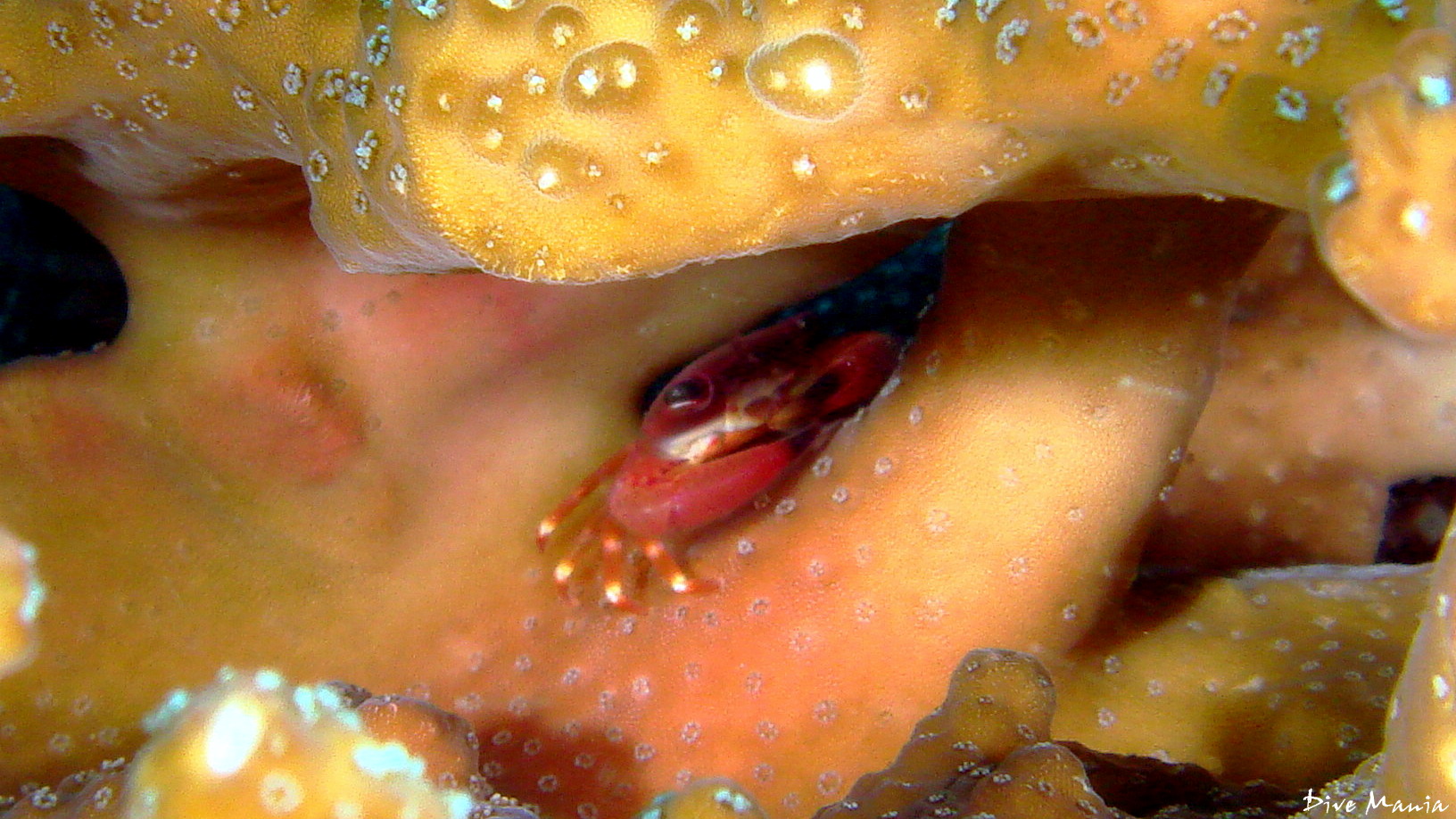 b0236647_12152641.jpg