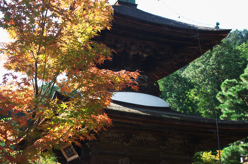 色づく境内（常寂光寺）_f0155048_23531461.jpg