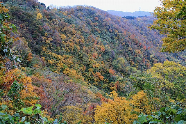 c0155950_23385764.jpg