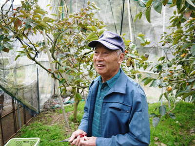 太秋柿 古川果樹園 「今が一番うまかばい!!」_a0254656_18183167.jpg