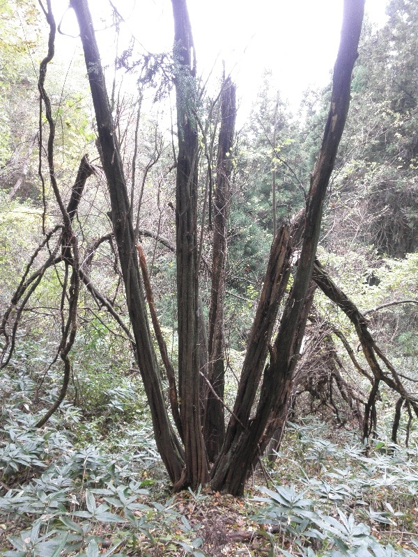 c0016259_23102944.jpg