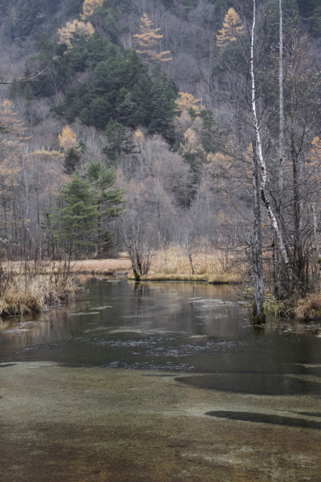 c0202860_102654.jpg