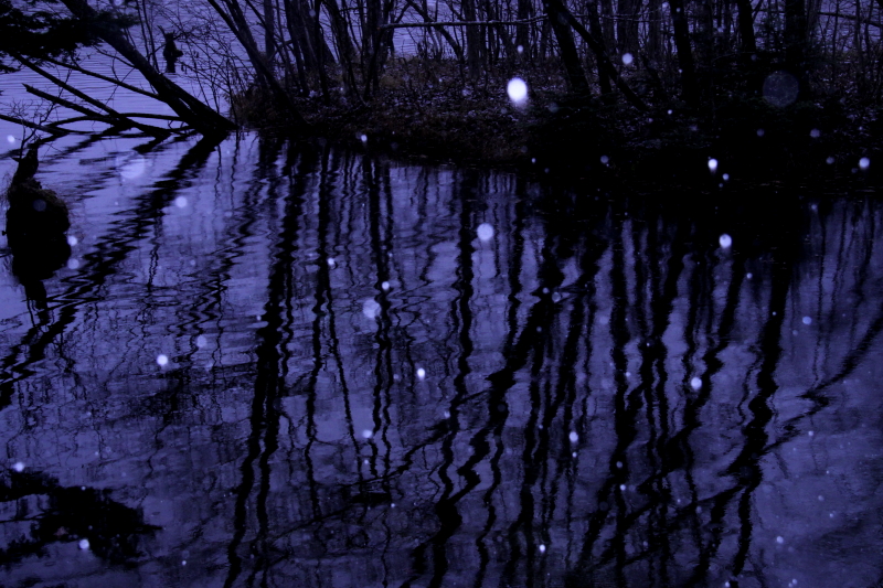 c0202860_114553.jpg