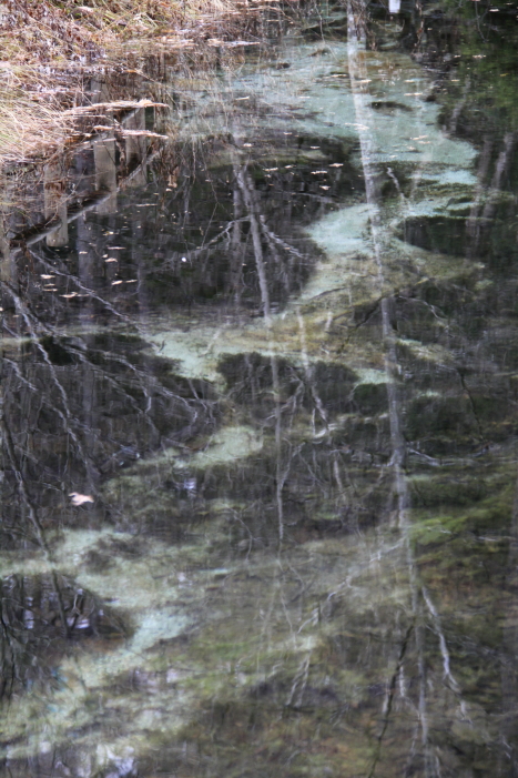 c0202860_171236.jpg