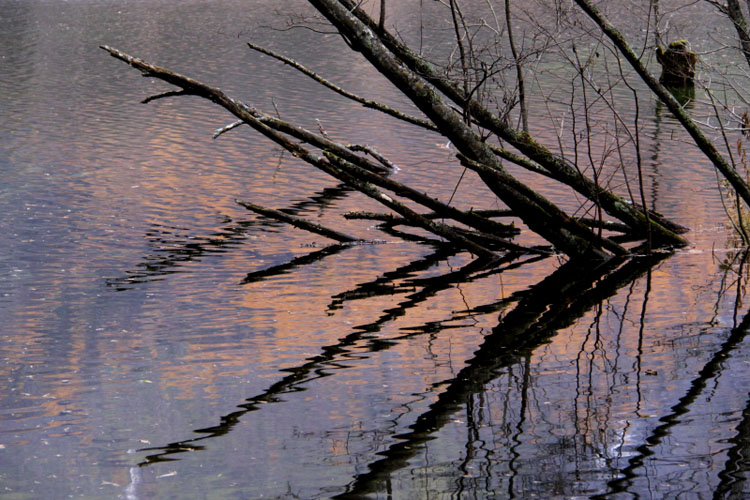 c0202860_2283166.jpg