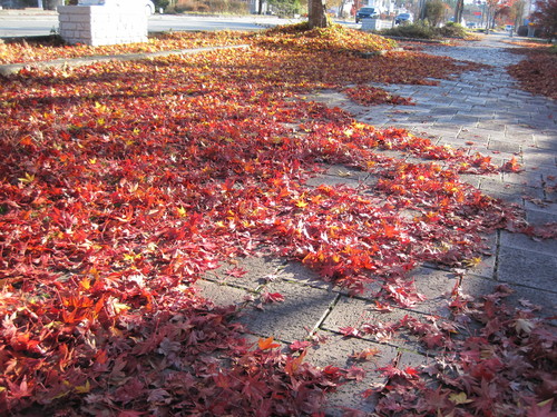 f0236260_20574955.jpg
