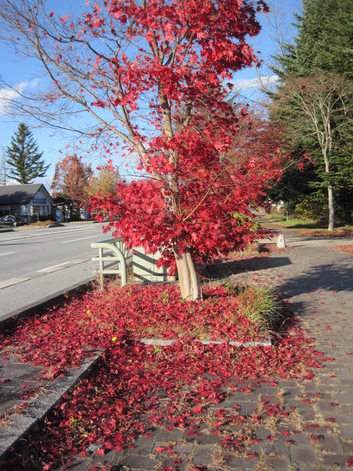 f0236260_2154361.jpg