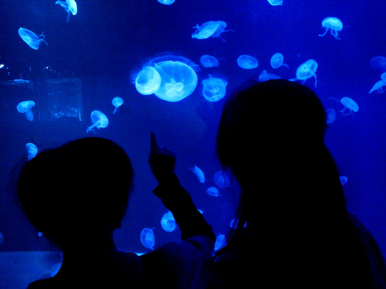 a0164362_7145071.jpg