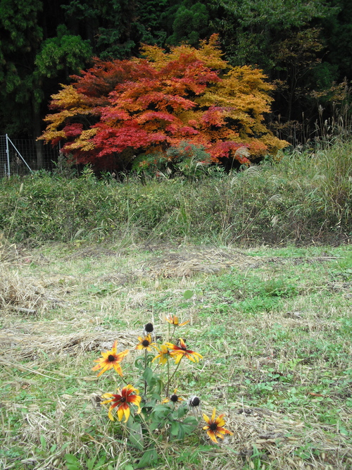 a0290964_06545.jpg