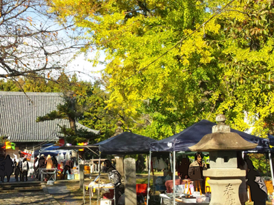 c0050264_12263930.jpg