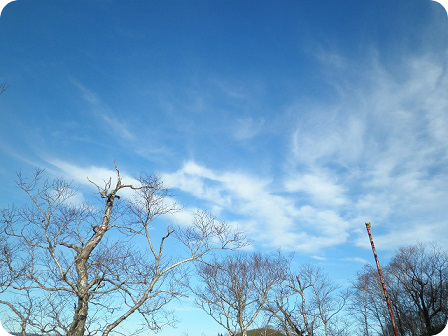 b0281366_14365154.png
