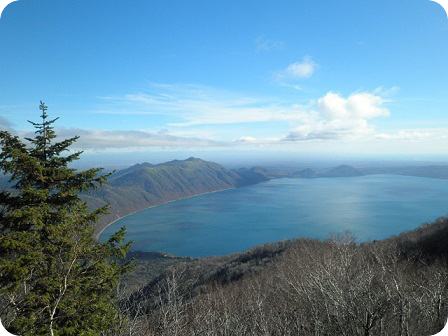 b0281366_14411791.png