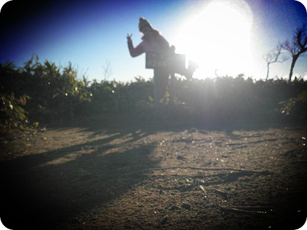 b0281366_1443376.png