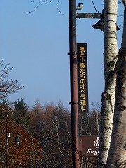 e0160568_1618077.jpg