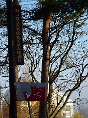 e0160568_1618765.jpg
