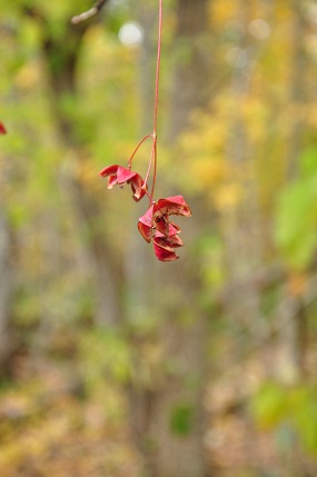 f0221369_20175521.jpg