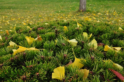 f0221369_2022434.jpg