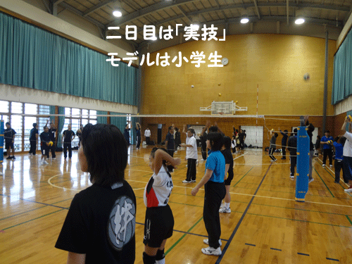 沖縄_c0000970_11584333.gif
