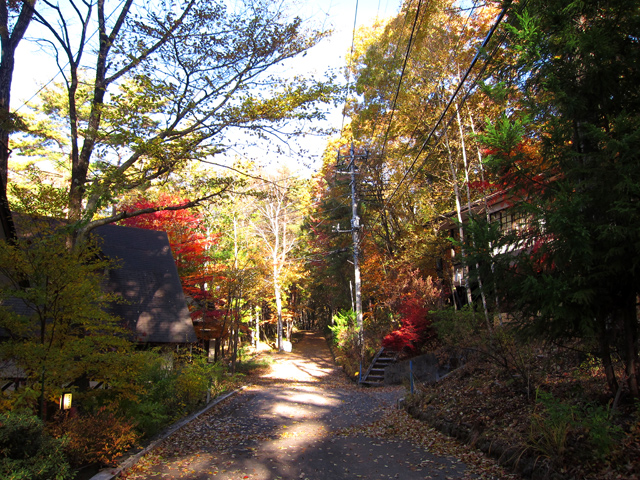 【八ヶ岳の麓】_f0202271_0363835.jpg