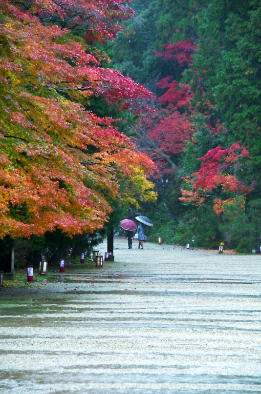 錦秋・雨の神護寺--1--20121111_a0050572_2342839.jpg