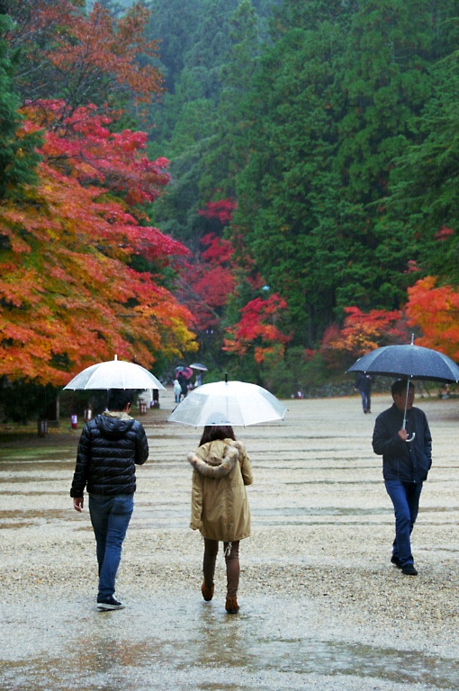 錦秋・雨の神護寺--1--20121111_a0050572_2345517.jpg