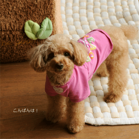 c0196673_19423935.gif