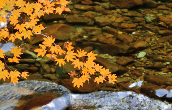 f0084573_0102329.jpg