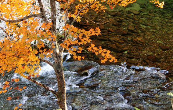 f0084573_0103812.jpg