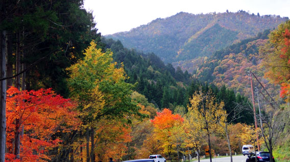 f0084573_0115912.jpg