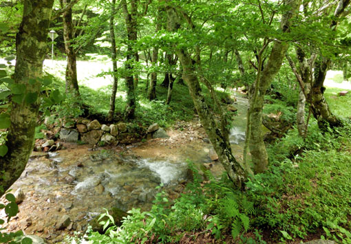 f0084573_1341784.jpg