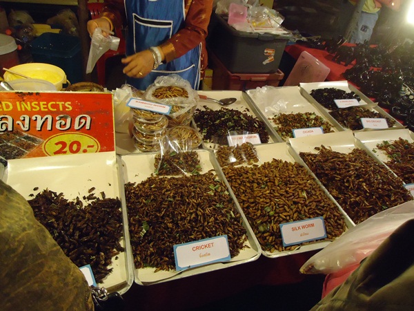 a0199979_1216725.jpg