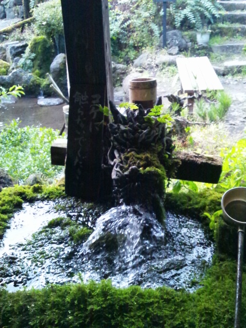 阿蘇神社とetuとtien tienと山ドライブ_c0246783_22384575.jpg