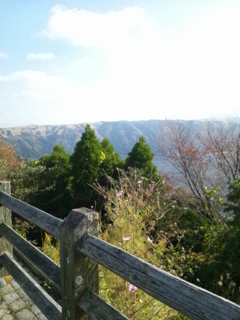 阿蘇神社とetuとtien tienと山ドライブ_c0246783_22414372.jpg