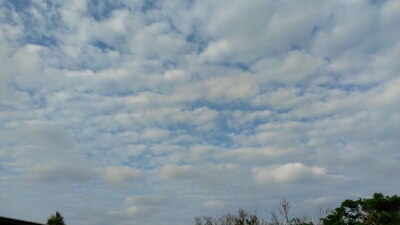 d0240983_8184384.jpg
