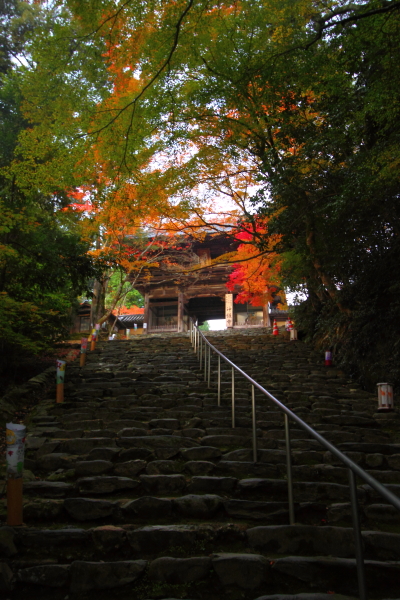 紅葉の三尾_e0051888_22363042.jpg