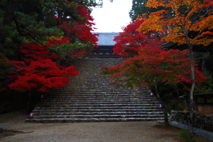 紅葉の三尾_e0051888_22373730.jpg