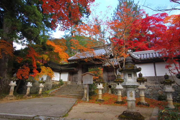 紅葉の三尾_e0051888_22392222.jpg