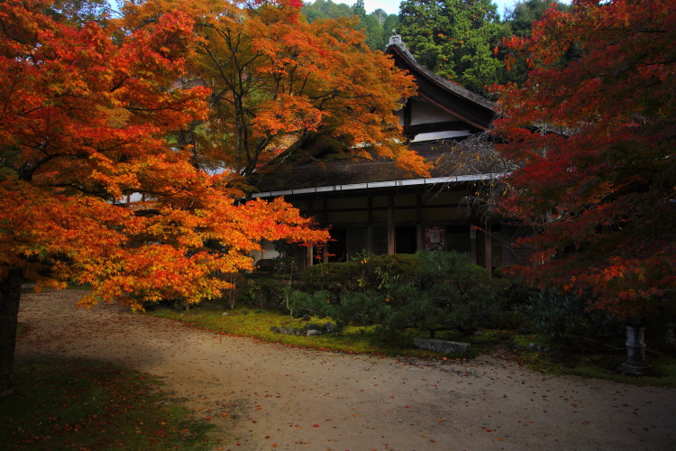 紅葉の三尾_e0051888_22394237.jpg