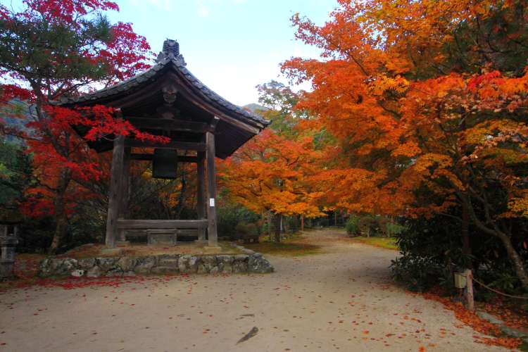 紅葉の三尾_e0051888_22395854.jpg
