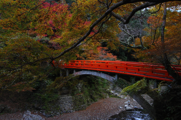紅葉の三尾_e0051888_2239712.jpg